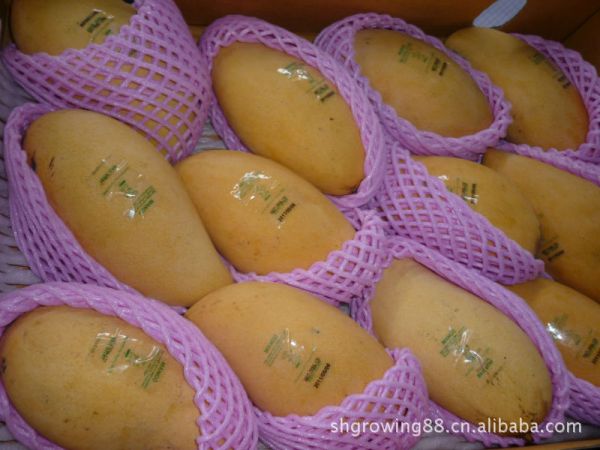 博鱼:泰国水果滞销，希望中国帮助中老铁路帮助首批水果顺利抵达中国